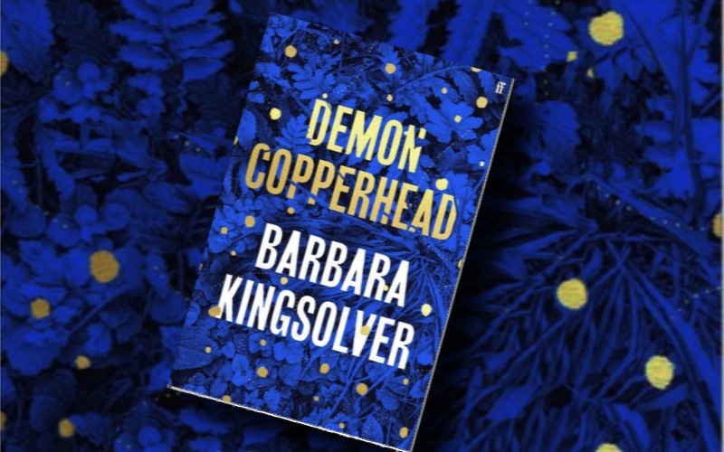 Demon Copperhead – book review