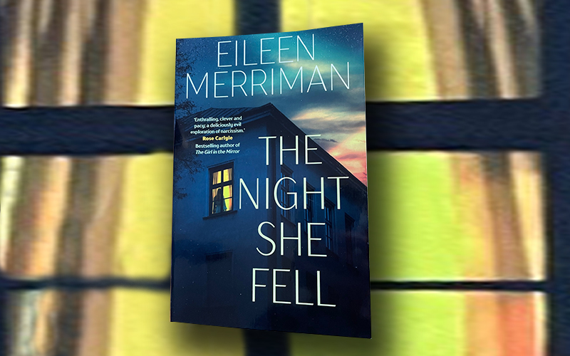 The Night She Fell–book review